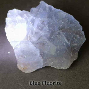 u[ t[Cg CgJ[   VR u  }N C[ANZT  q[OXg[ v[g 蕨 vw~ CeA fB[X Y