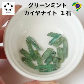 カイヤナイト 原石 1石 ブラジル産 ミントグリーン 藍晶石 パワーストーン 天然石 鉱物 標本 インテリア 浄化 ハンドメイド 素材 オルゴナイト ギフト コレクション 送料無料