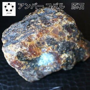 VR Ao[  X  Rp Rp[  1_  CeA p[Xg[ z ώ@ 蕨 v[g Mtg fB[X Y zW{ RNV