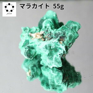 i }JCg  55g E 1_ z W{ VR u v[g Mtg 蕨 Vzj ΂̐ 