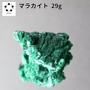 i }JCg  29g E 1_ z W{ VR u v[g Mtg 蕨 Vzj ΂̐ 