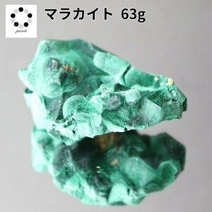 i }JCg  63g E 1_ z W{ VR u v[g Mtg 蕨 Vzj ΂̐ 