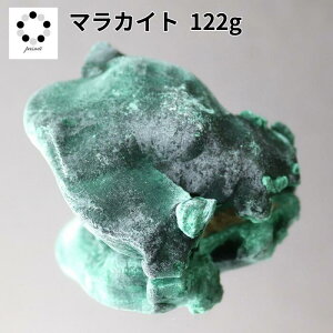 ���i�� �}���J�C�g ���� ��122g �E���� 1�_�� �z�� �W�{ �V�R�� �u�� �v���[���g �M�t�g ���蕨 �V�z�j�� �΂̐� ��