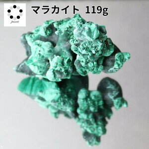 i }JCg  119g E 1_ z W{ VR u v[g Mtg 蕨 Vzj ΂̐ 