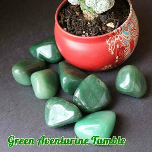 O[ Ax` ^u LTCY 1 VR p[Xg[ u  }N C[ANZ v[g  ANZT[ C[ANZ 蕨 N ݂ǂ pasmii