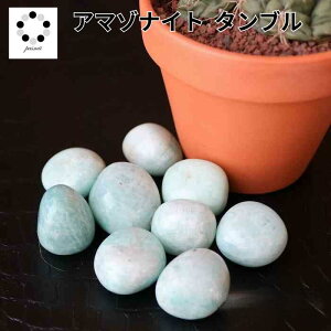 A}]iCg ^u S2LTCY 1  VR V͐ CeA v[g  ISiCg n[oE Mtg `NXg[ nhCh N^Abv C[ ANZ