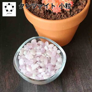  Nc@Cg 50g   CeA VR p[Xg[ ^ v[g  v[gPasmii