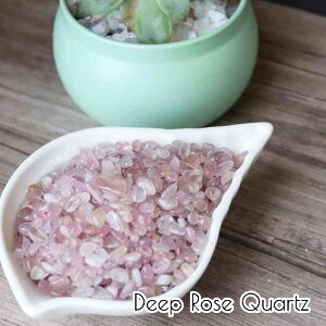 fB[v [YNH[c   ɏ 100g NbVXg[   ISiCg VR p[Xg[ ISiCg g sN 傢 ^  pasmii