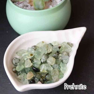  viCg  100g  CeA VR p[Xg[ uhE  nhCh  Pasmii