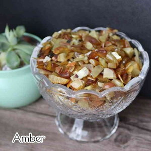  VR Ao[  50O  CeA p[Xg[ ISiCg   Pasmii