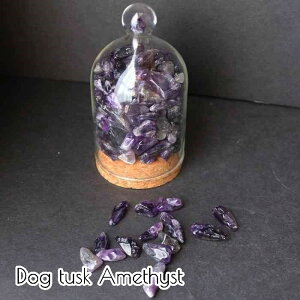  AWXg EOACY   ^ 100g  CeA VR p[Xg[  AVXg A A ϐ ~  Pasmii