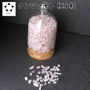 Nc@Cg ɏ  100g  CeA VR p[Xg[ ^ v[g A A ϐ ~  pasmii