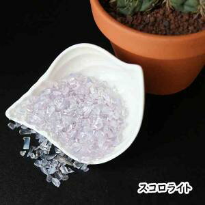   XRCg ANX 15g  CeA VR p[Xg[  AVXg A A ϐ ~  pasmii ͂