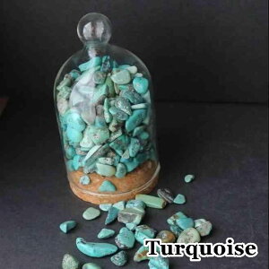 ^[RCY  20g VR ISiCg A A ϐ  CeA W   pasmii ͂