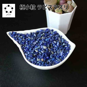  sXY 100g  CeA ISiCg VR p[Xg[ v[g Mtg K^̐   pasmii ͂