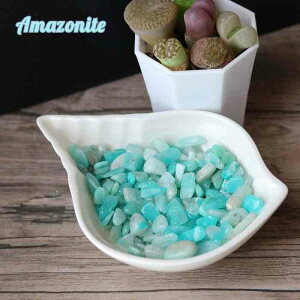  VR A}]iCg  100g  CeA v[g  ISiCg n[oE Mtg 傢 א  nhCh lC VR΃ISiCg VR΂