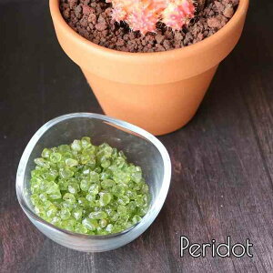  VR yhbg  40g  CeA 8a v[g ISiCg v[g 蕨 vw 傢  pasmii