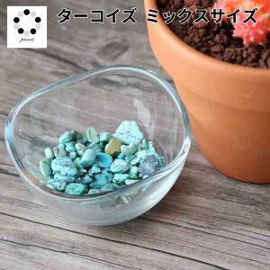 ^[RCY  ~bNXTCY 20g gR VR ISiCg A A ϐ  CeA W   pasmii ͂