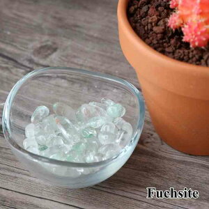 tbNTCg   50g VR  p[Xg[ CeA ISiCg  3_w  pasmii ͂