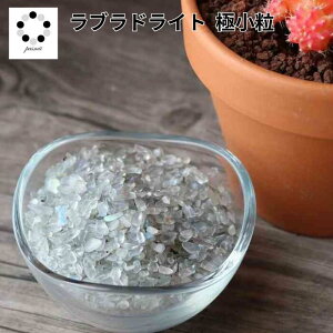 uhCg ɏ 100g  VR ISiCg nhCh CeA z W{ ώ@   pasmii ͂