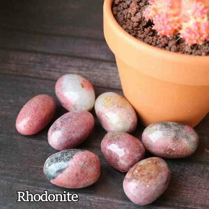 [hiCg ^u MTCY 1  u CeA VR v[g 蕨 Mtg  o^C zCgf[ ԃIW pasmii