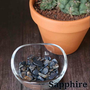 Tt@CA R_   50g  CeA p[Xg[ VR v[g ISiCg  Pasmii