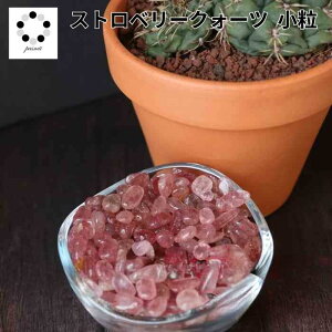 i Xgx[NH[c    100g p[Xg[   ISiCg CeA  pasmii ͂