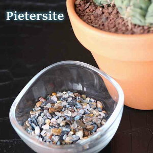 s[^[TCg  ɏ 50g ISiCg VR Ֆڐ p[Xg[ ^CK[AC z[NXAC  ^ d^ ^ v[g 蕨 Mtg 傢  Pasmii