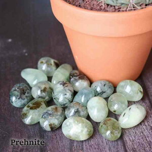 viCg ^u STCY  1  CeA VR p[Xg[ 傢 uhE  nhCh }N C[ ANZT[  ݂ǂ pasmii