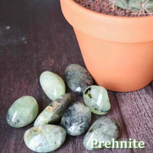 viCg ^u MTCY  1  CeA VR p[Xg[ 傢 uhE  nhCh }N C[ ANZT[  ݂ǂ pasmii