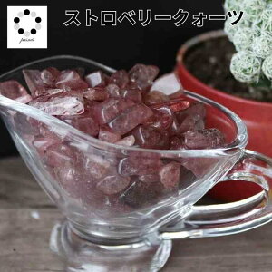  Xgx[NH[c VR  100g p[Xg[   ISiCg CeA A A ϐ ~ n[oE W nhCh  Pasmii ͂