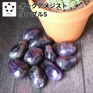 AWXg Z ^u STCY 1  CeA  VR p[Xg[  pasmii