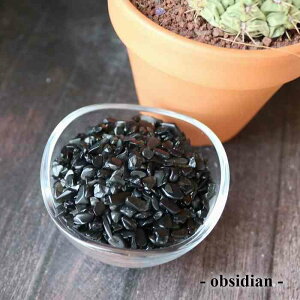  IuVfBA ɏ 100g j VR ISiCg f  lC W nhCh NbVXg[ lC w N[|   pasmii