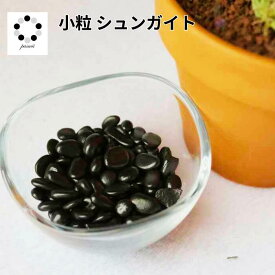 さざれ石 シュンガイト シュンギット シュンガ石 50g 天然石 パワーストーン オルゴナイト レジン ハンドメイド 黒白 次墨 Pasmii
