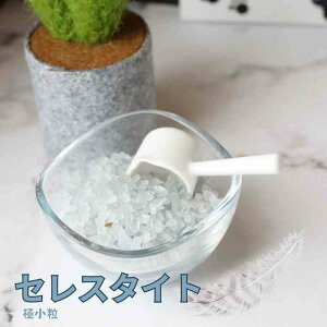  ZX^Cg ɏ 50g  CeA VR p[Xg[ 蕨 v[g J  pasmii ͂