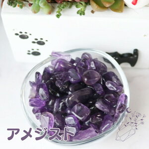 AWXg   50g ISiCg AVXg VR 2a  v[g p[Xg[ CeA Mtg 蕨 傢  ͂