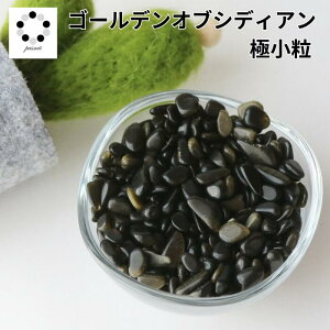  S[f IuVfBA ɏ 100g j VR ISiCg f  lC W nhCh NbVXg[ lC