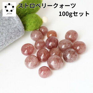 Xgx[NH[c VR  ^u 100g Zbg .p[Xg[   ISiCg CeA 䕐 NH[c  Pasmii