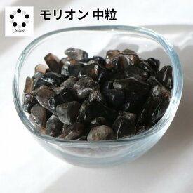 さざれ石 モリオン 黒水晶 中粒 100g 浄化 クラッシュストーン ネイル インテリア 天然石 パワーストーン オルゴナイト プレゼント 黒白 pasmii