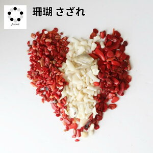  ԎX X ɏ  50g X R[  CeA VR 1 a ISiCg v[g Mtg nhCh 傢 A A ϐ ~  Pasmii