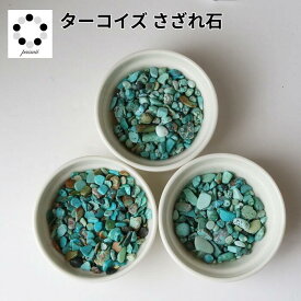 ターコイズ さざれ石 20g 天然石 オルゴナイト 多肉植物 植物 化粧石 飾り インテリア レジン 飾り石 青緑 pasmii はに
