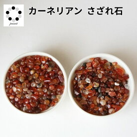 カーネリアン さざれ石 極小粒～小粒 100g 浄化 インテリア 天然石 パワーストーン オルゴナイト プレゼント 健康運 ちょい足し 黄橙 pasmii はに