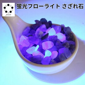 さざれ石 蛍光フローライト 50g Fluorite 蓄光 さざれ 浄化 インテリア 蛍石 天然石 パワーストーン 置物 石 Stone 開運 インテリア 鉱石 天然石 多肉植物 植物 化粧石 敷石 青緑 Pasmii