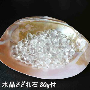  p[VF  p gC  t Lk ANZT[ r̊Lk 򉻃gC M   VF 󂯎M ANZT[gC Pasmii