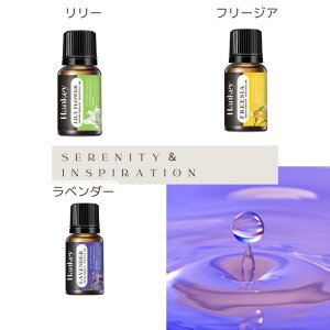 A}Xg[  A}IC3{ Zbg Iׂ Xg[ VR   CeA p[Xg[ u J^ CeA Mtg v[g 蕨 Pasmii