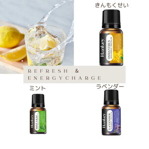 A}Xg[  A}IC3{ Zbg Iׂ Xg[ VR   CeA p[Xg[ u J^ CeA Mtg v[g 蕨 Pasmii