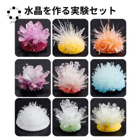 実験 水晶 育成 キット 1個 原石 クラスター 水晶クラスター Pasmii 自由研究