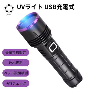 ブラックライト 天然石 鉱物 UV 紫外線ライト 365nm 1本 大容量 充電コード付属 殺菌 UVライト ハンディーライト 鉱物鑑定 釣り 蓄光 ジェルネイル レジン 硬化 汚れ確認 エギング ケイムラ 蓄光
