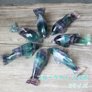 y ݌ɏs ŏIvCX zt[Cg CJ M i v[g u CeA RNV v[g Mtg fB[X Y NX}X 蕨