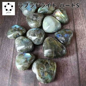 uhCg n[g ^u STCY 1 VR p[Xg[ u  }N C[ANZ v[g 蕨   pasmii